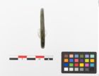 Foto von Bronzering (NHMW-PRAE-023672)
